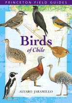 Birds of Chile Birds of Chile