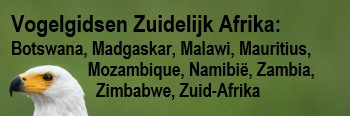 Vogelgidsen Zuidelijk Afrika Vogelgidsen Zuidelijk Afrika