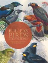 Bullers Birds of New Zealand