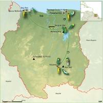 Suriname - Vogel- en natuurreis, 17 dagen vogelen in kustvlaktes, bergbossen, Amazonewoud, moerassen en savannes