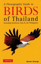 Photographic Guide to the Birds of Thailand, ebook