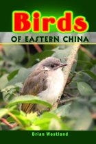 Birds of Eastern China, ebook
