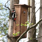 Nestkast Grote bonte specht