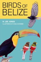 Birds of Belize