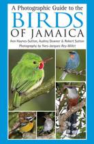 A Photographic Guide to the Birds of Jamaica