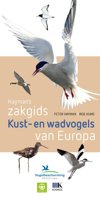 Hayman's Zakgids - kust- en wadvogels