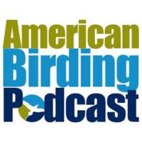 American Birding Podcast