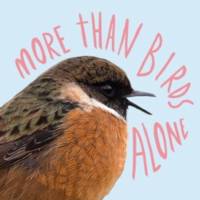 More than birds