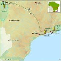 Brazilië - Vogelreis, 17 dagen Mata Atlantica en Pantanal